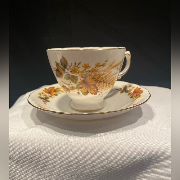 Queen Anne Teacup and Saucer, Ridgway Potteries,Fall Autumn, English Bone China - Picture 6 of 9